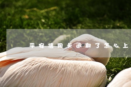 平安信用卡逾期了怎么上岸 平安信用卡逾期了怎么上岸