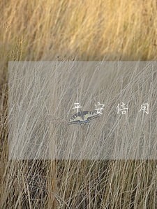 平安信用卡逾期了怎么协商