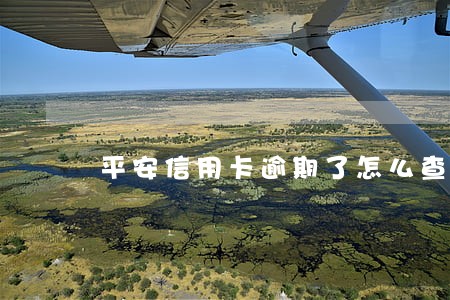 平安信用卡逾期了怎么查本金 平安信用卡逾期了怎么查本金