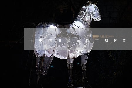 平安信用卡逾期了想还款怎么办 平安信用卡逾期了想还款怎么办