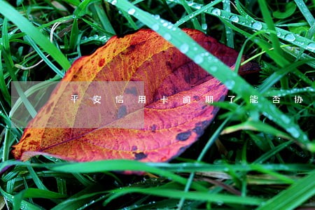 平安信用卡逾期了能否协商还钱 平安信用卡逾期了能否协商还钱