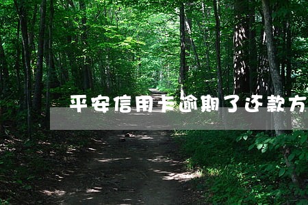平安信用卡逾期了还款方式