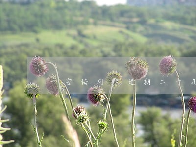 平安信用卡逾期二十几天