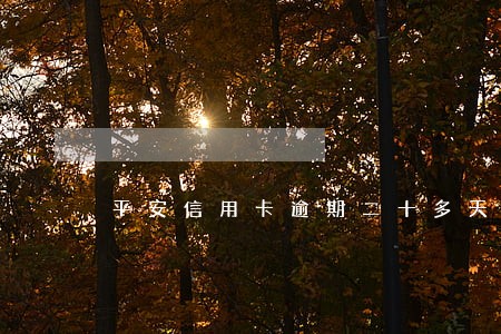 平安信用卡逾期二十多天 平安信用卡逾期二十多天