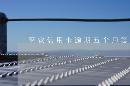 平安信用卡逾期五个月怎么协商 平安信用卡逾期五个月怎么协商
