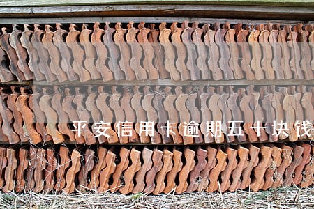 平安信用卡逾期五十块钱 平安信用卡逾期五十块钱