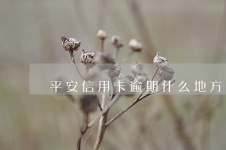 平安信用卡逾期什么地方会上门