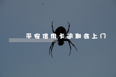 平安信用卡逾期会上门 平安信用卡逾期会上门