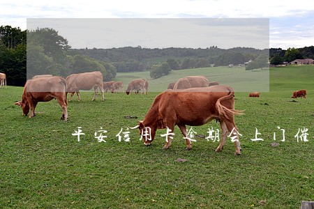 平安信用卡逾期会上门催收 平安信用卡逾期会上门催收