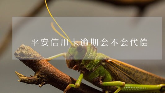 平安信用卡逾期会不会代偿