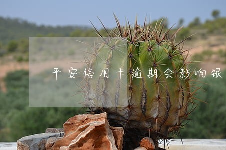平安信用卡逾期会影响银行卡吗