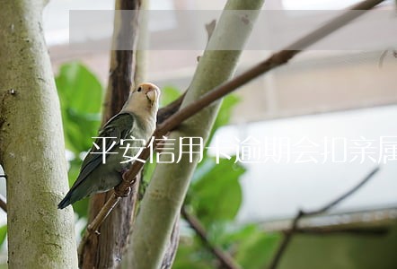 平安信用卡逾期会扣亲属的 平安信用卡逾期会扣亲属的