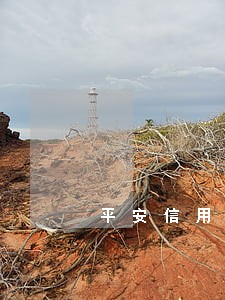平安信用卡逾期但有还 平安信用卡逾期但有还