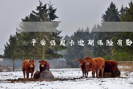 平安信用卡逾期保险有影响吗