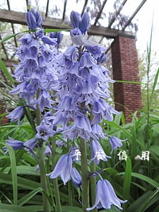 平安信用卡逾期信息图片 平安信用卡逾期信息图片