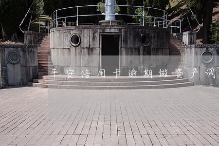 平安信用卡逾期做资产调查 平安信用卡逾期做资产调查