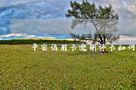 平安信用卡逾期停卡如何激活 平安信用卡逾期停卡如何激活