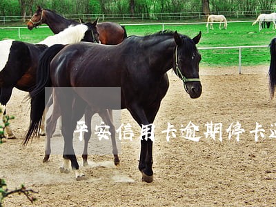 平安信用卡逾期停卡还可以再用吗 平安信用卡逾期停卡还可以再用吗