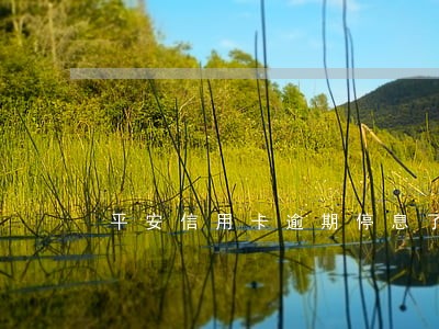 平安信用卡逾期停息了 平安信用卡逾期停息了