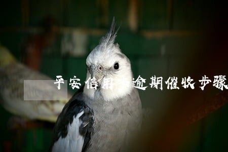平安信用卡逾期催收步骤 平安信用卡逾期催收步骤