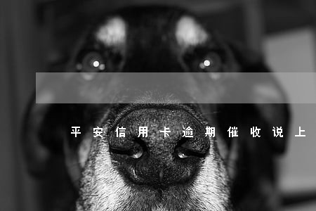 平安信用卡逾期催收说上门 平安信用卡逾期催收说上门