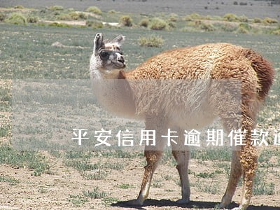 平安信用卡逾期催款通知 平安信用卡逾期催款通知