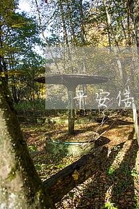 平安信用卡逾期催缴电话
