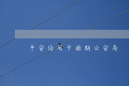 平安信用卡逾期公安局 平安信用卡逾期公安局