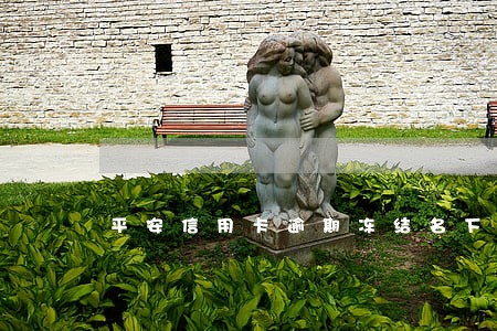 平安信用卡逾期冻结名下