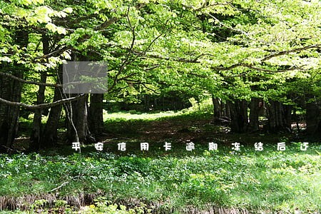 平安信用卡逾期冻结后还能用 平安信用卡逾期冻结后还能用