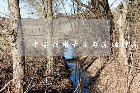 平安信用卡逾期冻结解冻吗 平安信用卡逾期冻结解冻吗