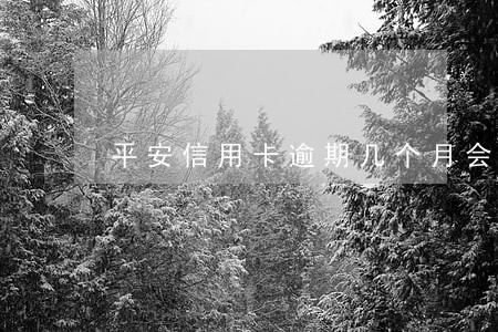 平安信用卡逾期几个月会被停卡 平安信用卡逾期几个月会被停卡