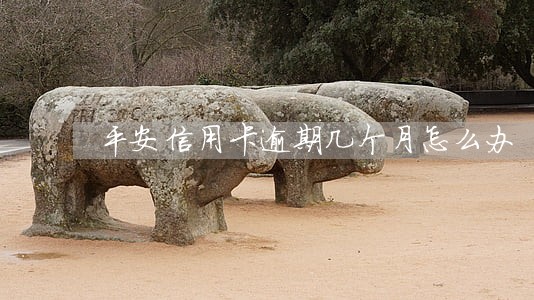 平安信用卡逾期几个月怎么办 平安信用卡逾期几个月怎么办