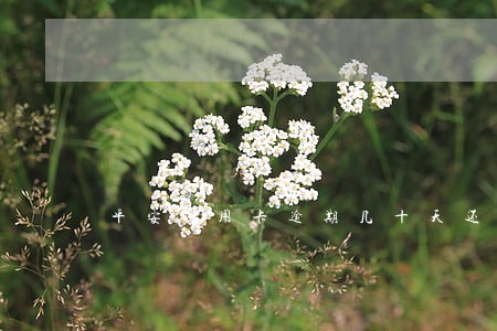 平安信用卡逾期几十天还款 平安信用卡逾期几十天还款