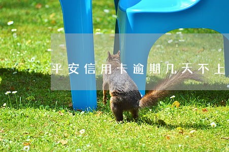 平安信用卡逾期几天不上征信 平安信用卡逾期几天不上征信