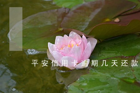 平安信用卡逾期几天还款