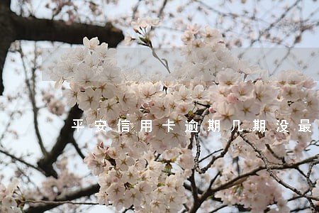 平安信用卡逾期几期没最低 平安信用卡逾期几期没最低