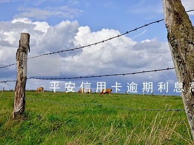 平安信用卡逾期利息高吗 平安信用卡逾期利息高吗