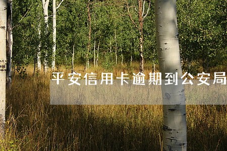 平安信用卡逾期到公安局立案吗