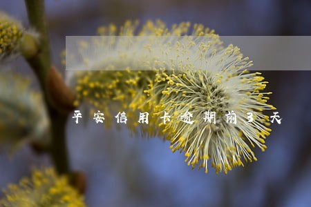 平安信用卡逾期前3天 平安信用卡逾期前3天