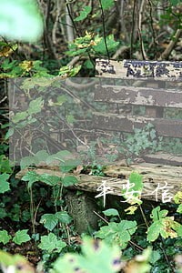 平安信用卡逾期加我qq 平安信用卡逾期加我qq
