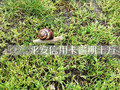 平安信用卡逾期十万