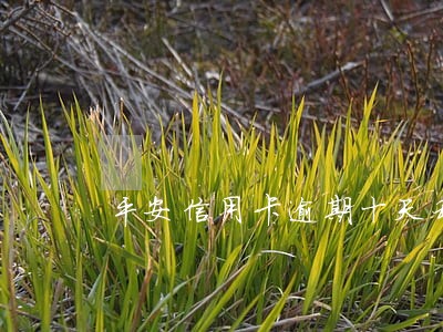 平安信用卡逾期十天利息多少