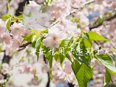 平安信用卡逾期十天还了最低
