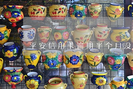 平安信用卡逾期半个月没还 平安信用卡逾期半个月没还
