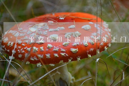 平安信用卡逾期半年上门取证 平安信用卡逾期半年上门取证