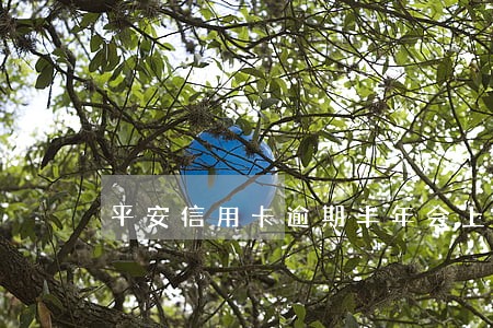 平安信用卡逾期半年会上门吗 平安信用卡逾期半年会上门吗