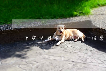 平安信用卡逾期半年报警怎么处理
