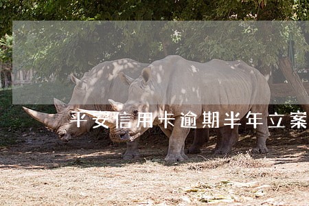 平安信用卡逾期半年立案了怎么办 平安信用卡逾期半年立案了怎么办