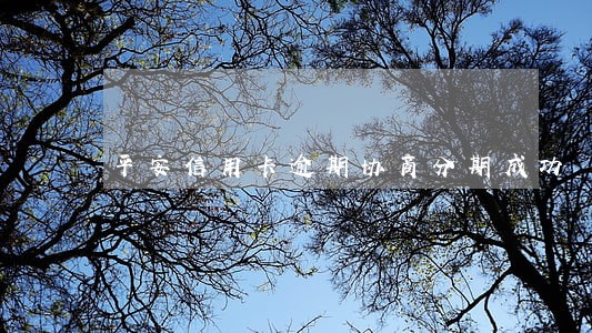 平安信用卡逾期协商分期成功